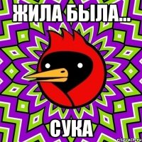 жила была... сука