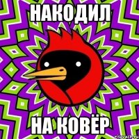 Накодил На ковёр