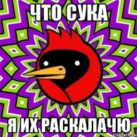 что сука я их раскалачю