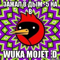 Зажал в дым -5 на B wuka mojet :D