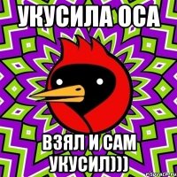 Укусила оса Взял и сам укусил)))