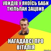 Увидів у якоїсь баби тюльпан зацвив Нагадавсі про віталія