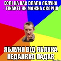 еслі на вас впало яблуко - тікайте як можна скоріш яблуня від яблука недалєко падає