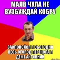 малв чула не вузбуждай кобру заспокойся я сьогодни весь огород перекопа я деже активний