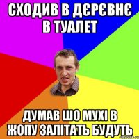 сходив в дєрєвнє в туалет думав шо мухі в жопу залітать будуть