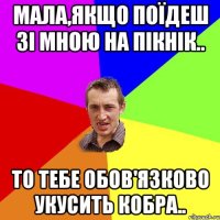 мала,якщо поїдеш зі мною на пікнік.. то тебе обов'язково укусить кобра..