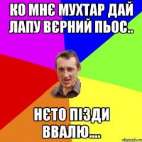 ко мнє мухтар дай лапу вєрний пьос.. нєто пізди ввалю....