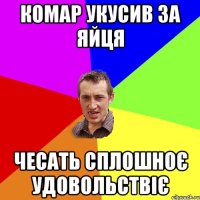 КОМАР УКУСИВ ЗА ЯЙЦЯ ЧЕСАТЬ СПЛОШНОЄ УДОВОЛЬСТВІЄ