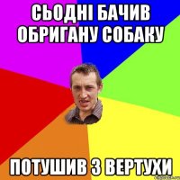 сьодні бачив обригану собаку потушив з вертухи