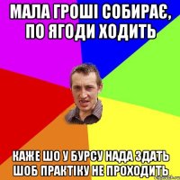 мала гроші собирає, по ягоди ходить каже шо у бурсу нада здать шоб практіку не проходить