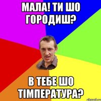 Мала! Ти шо городиш? В тебе шо тімпература?