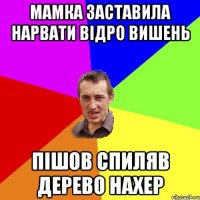 Мамка заставила нарвати відро вишень пішов спиляв дерево нахер