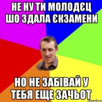 Не ну ти молодєц шо здала єкзамени но не забівай у тебя еще ЗАЧЬОТ