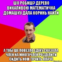 шо робиш? дерево викапивою математичка домашку дала коринь найти а тобі ше повезло Едіку сказала член на многочлен розділити сидить нож точить плаче