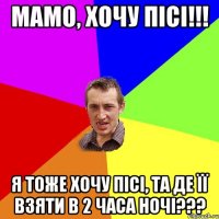 Мамо, хочу пісі!!! Я тоже хочу пісі, та де її взяти в 2 часа ночі???