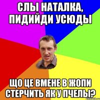 слы наталка, пидийди усюды що це вмене в жопи стерчить як у пчелы?