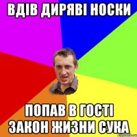 вдів диряві носки попав в гості закон жизни сука