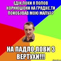 Едік,поки я полов корнюшони на грядкє,ти пойобував мою малу?? На падло,лови з вертухи!!!