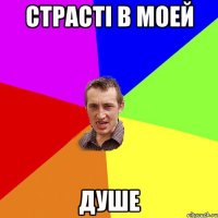 страсті в моей душе