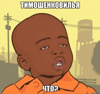 ТимошенковИлья что?