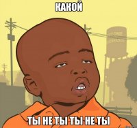 какой ты не ты ты не ты