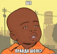 Шо правда шоле?