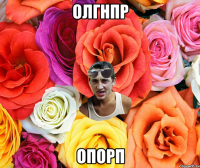 олгнпр опорп