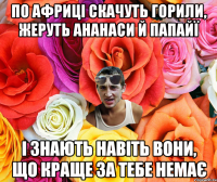 По Африці скачуть горили, жеруть ананаси й папайї І знають навіть вони, що краще за тебе немає