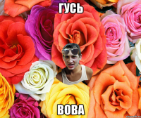 гусь ВОВА