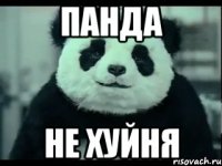 панда не хуйня