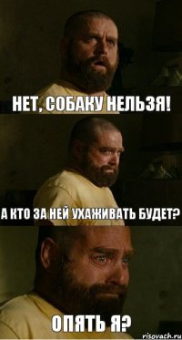 Нет, собаку нельзя! а кто за ней ухаживать будет? опять я?