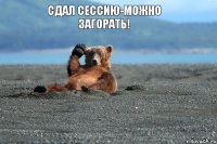 Сдал сессию-можно загорать!