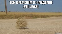 тем временем в флудилке StillRose 
