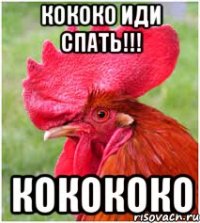 Кококо Иди спать!!! Кокококо