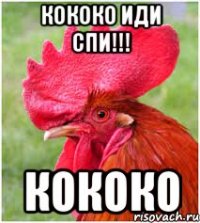 кококо иди спи!!! кококо