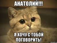 Анатолий!!! Я хочу с тобой поговорить!