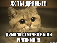 Ах ты дрянь !!! думала семечки были мягкими !!!