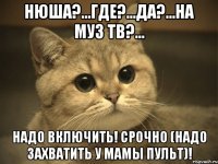 Нюша?...Где?...Да?...На МУЗ ТВ?... Надо включить! Срочно (надо захватить у мамы пульт)!