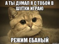 А ты думал я с тобой в шутки играю режим ебаный