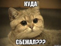 КУДА СБЕЖАЛ???