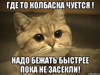 ГДЕ ТО КОЛБАСКА ЧУЕТСЯ ! НАДО БЕЖАТЬ БЫСТРЕЕ ПОКА НЕ ЗАСЕКЛИ!