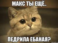 Макс ты ещё.. Педрила Ебаная?