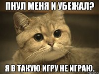 пнул меня и убежал? я в такую игру не играю.