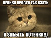 Нельзя просто так взять И забыть котенка!!)