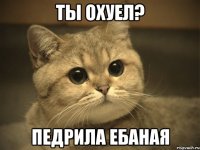 Ты охуел? Педрила ебаная