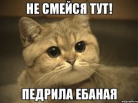 НЕ СМЕЙСЯ ТУТ! ПЕДРИЛА ЕБАНАЯ