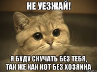 Не уезжай! я буду скучать без тебя, так же как кот без хозяина