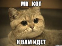 Mr_Kot К вам идет