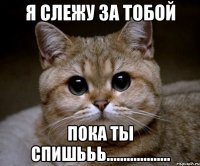 Я слежу за тобой ПОКА ТЫ СПИШЬЬЬ...................