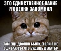 Это единственное какие я оценки запомнил Там еще двойки были, (если я не ошибаюсь) Что будешь делать?